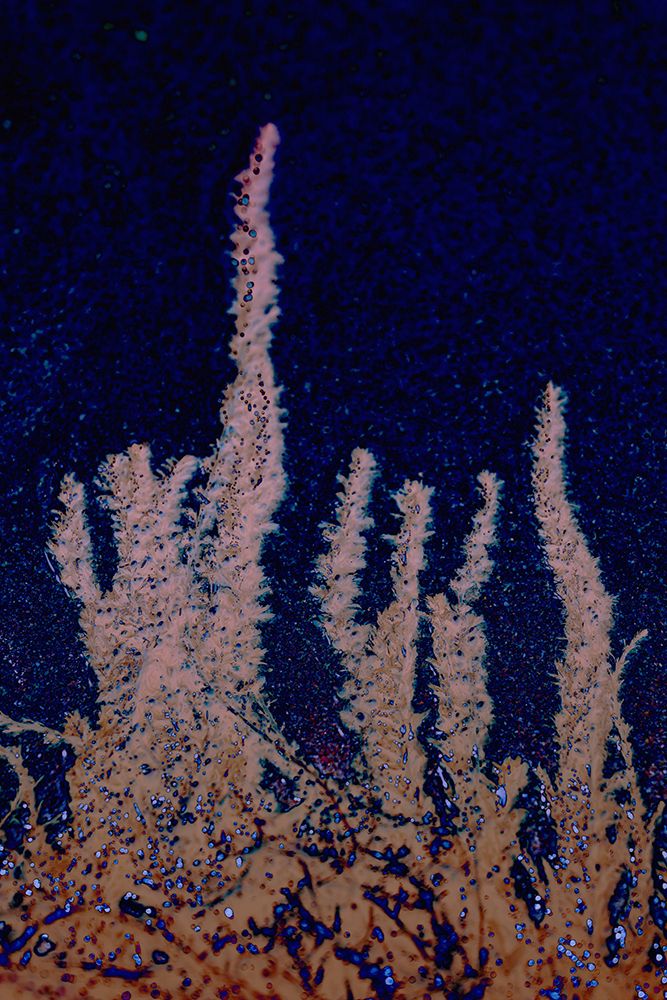 Frieda - Vernissage The Pier Mainz